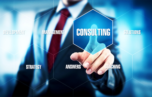Business Consulting Services